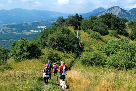 Camminatori in azione